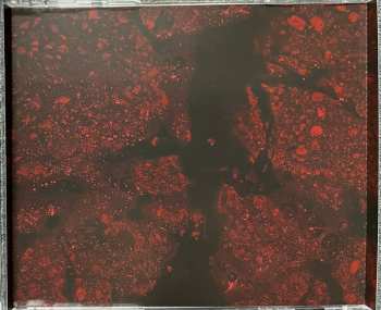CD Unsane: Wreck