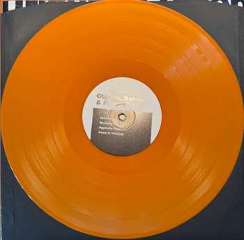 LP Urlaub In Polen: Objects, Beings & Parrots CLR | LTD