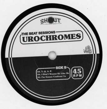 SP Urochromes: The Beat Sessions