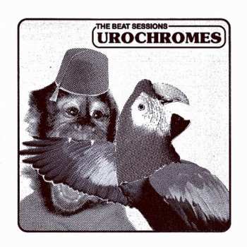 SP Urochromes: The Beat Sessions