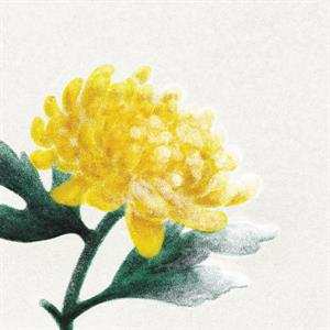 Album Various: Spring Snow