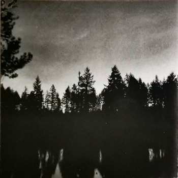 CD Vardan: Between The Fog And Shadows