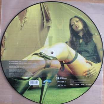 5LP/Coffret Various: 12" Collector's Picture Disc Box LTD | PIC