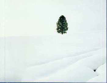 CD Various: A Windham Hill Christmas