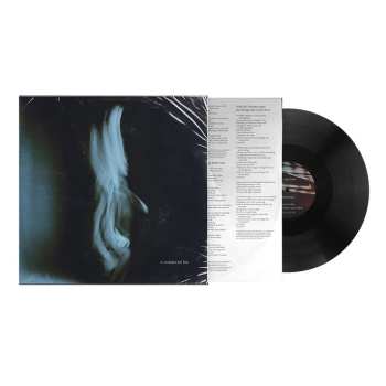 LP Tom Odell: A Wonderful Life