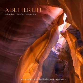 Album Various: A Better Life: An Introduction To The Mindful Music Association