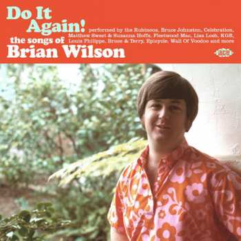 CD Various: Do It Again! The Songs Of Brian Wilson