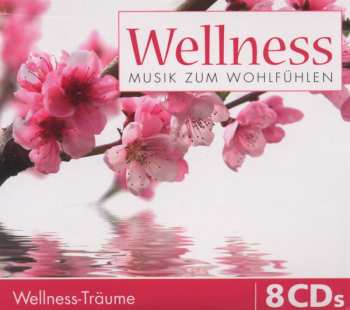 Album Various: Wellness: Musik Zum Wohlfühlen
