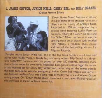 CD Various: Blues Party