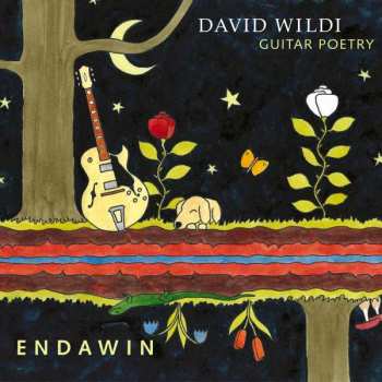 CD David Wildi Guitar Poetry: Endawin