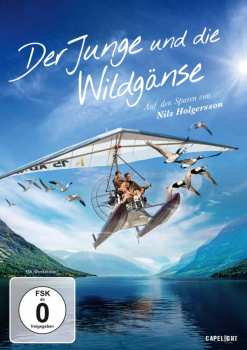 DVD Various: Der Junge Und Die Wildgänse