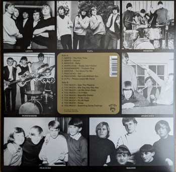 LP Various: Diggin' For Gold Vol 15 (A Collection Of Demented 60' R&B/Punk & Mesmerizing Pop.) LTD