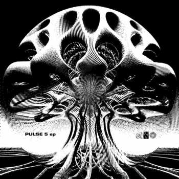 Album Various: In Order To Dance 6 (Session One Drum-N-Bass)