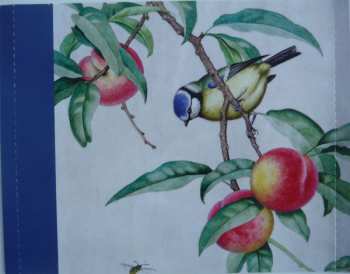 CD Various: Music For Bird Lovers