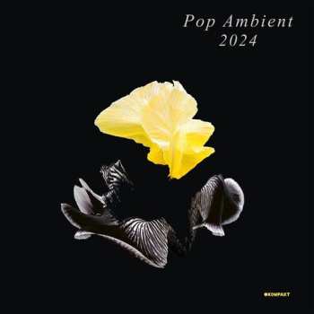 CD Various: Pop Ambient 2024