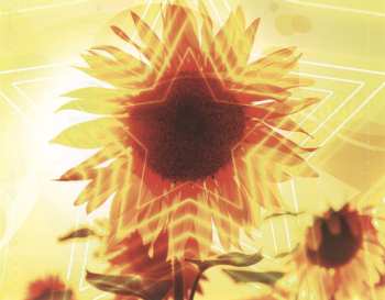 2CD Various: Schlager Originale Vol. 3