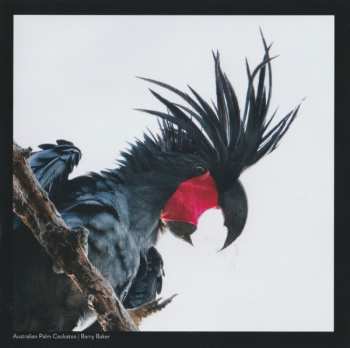 CD Various: Songs Of Disappearance (Australian Bird Calls) - Endangered Edition DLX