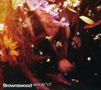 CD Various: Brownswood Electric 2 / Various