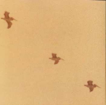 CD Various: Take Me Home | A Tribute To John Denver