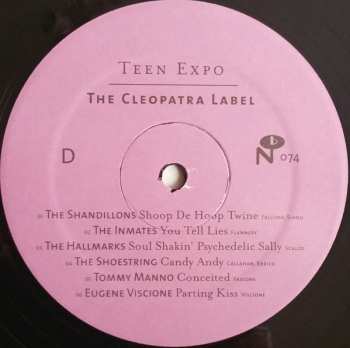 2LP Various: Teen Expo: The Cleopatra Label