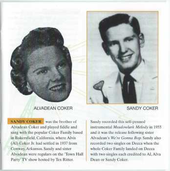CD Various: That'll Flat ... Git It! Vol. 8: Rockabilly From The Vaults Of Abbott-Fabor-Radio Records