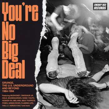Album Various: You're No Big Deal: Grunge & The Us Underground