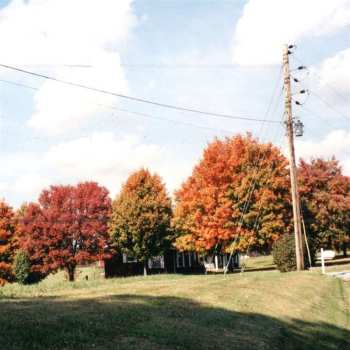 Album Vegas Water Taxi: Things Are Gonna Be Alright 