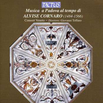 Album Veneto / Consort Veneto / Toffano: Music From Padua In The Time Of Alvise Cornaro