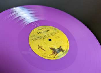 LP The Verlaines: Bird-Dog LTD | CLR