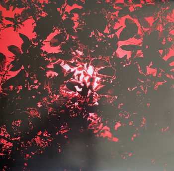 LP Veronique Gayot: Animal