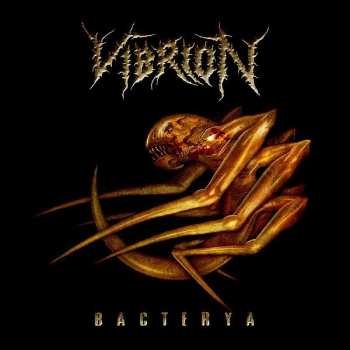 CD Vibrion: Bacterya