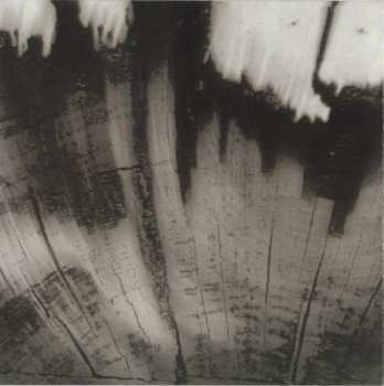 CD Vidna Obmana: Tremor