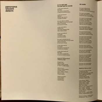 LP Vincent Delerm: Panorama