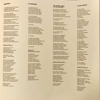 LP Vincent Delerm: Panorama