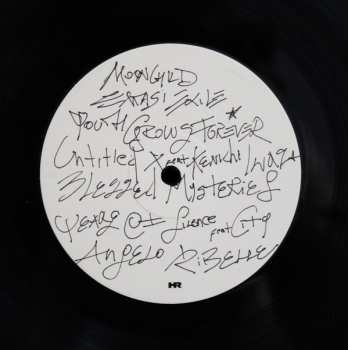 LP VISIO: Privacy Angels