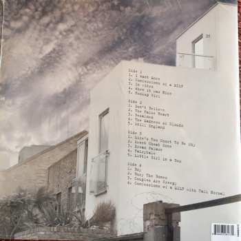 2LP Viv Albertine: The Vermilion Border LTD | CLR