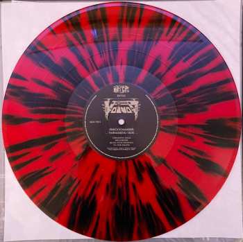 6LP/DVD/Coffret Voïvod: Forgotten In Space DLX | LTD | CLR