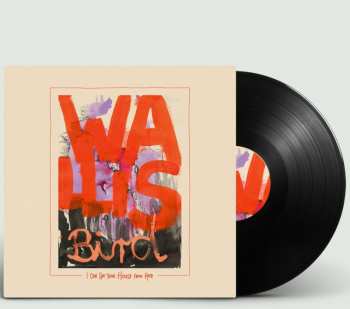 Album Wallis Bird: I Can See Your House From Here