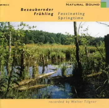 Bezaubernder Frühling • Fascinating Springtime