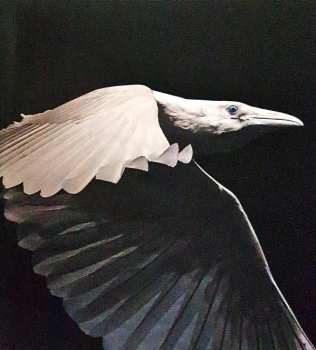 2LP Wardruna: Kvitravn