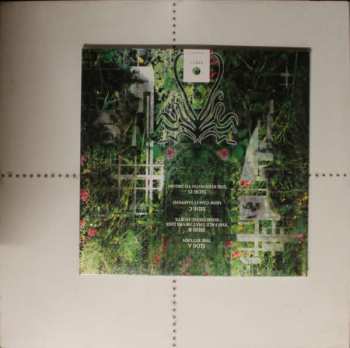 2LP Warning: The Strength To Dream LTD | CLR