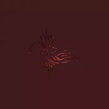 We Like We: Next To The Entire All