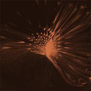 LP We Like We: Next To The Entire All LTD