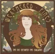 Weathered Pines: The Sky Between The Buildings