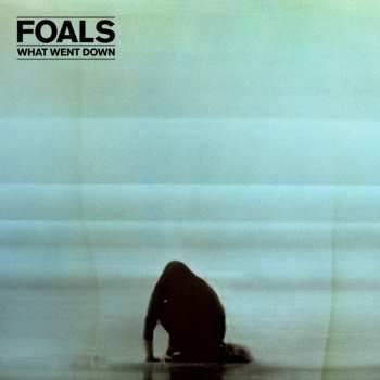 LP Foals: What Went Down