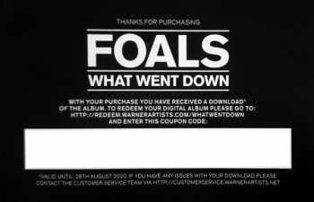 LP Foals: What Went Down