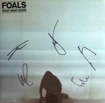 LP Foals: What Went Down