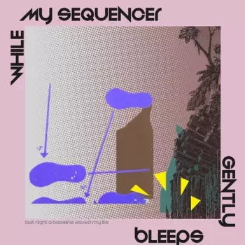 While My Sequencer Gently Bleeps: Last Night A Bassline Saved My Life