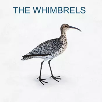 Whimbrels: Whimbrels