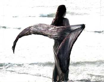 CD White Canvas: Chariad